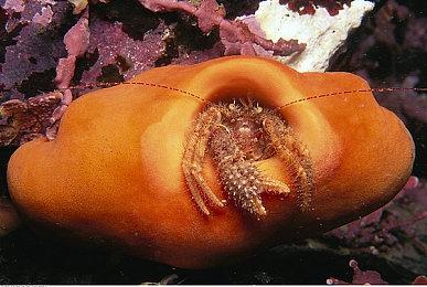 《永劫无间》全新英雄无尘上线测试服 御剑而至妙法通玄