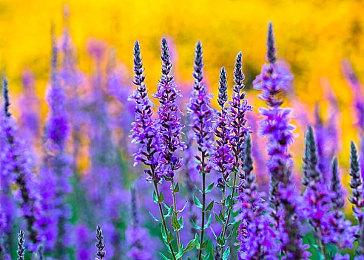 《界外狂潮》：体验碎片对决与团队竞技的极致乐趣